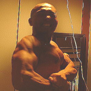 �k�C���{�f�B�[�r���_�[�Óc�摜1