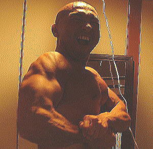 �k�C���{�f�B�r���_�[�Óc�摜2