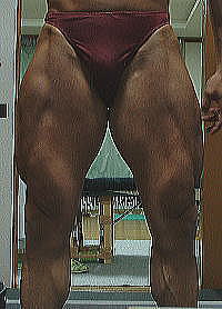 �k�C���{�f�B�r���_�[�Óc�摜2