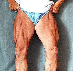 �k�C���{�f�B�[�r���_�[�Óc�摜1