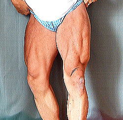 �k�C���{�f�B�r���_�[�Óc�摜2