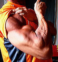 �k�C���{�f�B�r���_�[�Óc�摜5