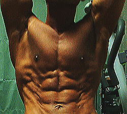 �k�C���{�f�B�[�r���_�[�Óc�摜4