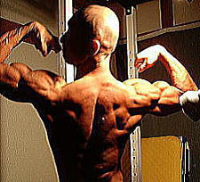 �k�C���{�f�B�[�r���_�[�Óc�摜6