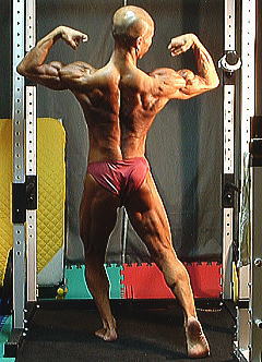 �k�C���{�f�B�[�r���_�[�Óc�摜2