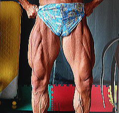 �k�C���{�f�B�r���_�[�Óc�摜7�i�r�j