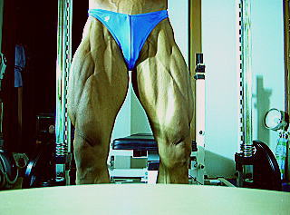 �k�C���{�f�B�[�r���_�[�Óc�摜8�i�r�j