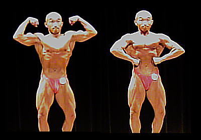 �����{�{�f�B�r���I�茠���Óc2